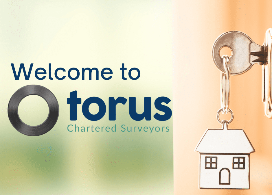 Welcome to Torus Chartered Surveyors